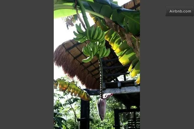 Casa Di Luca Lägenhet Playa del Carmen