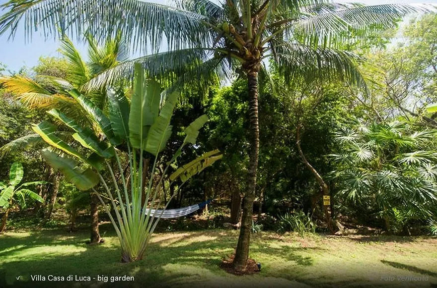 Casa Di Luca Lägenhet Playa del Carmen Mexiko