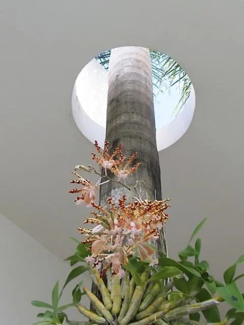 Casa Di Luca Lägenhet Playa del Carmen